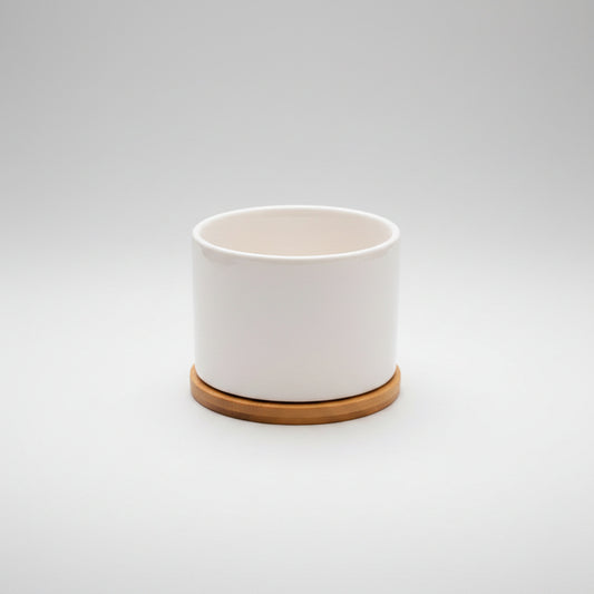 White Porcelain Succulent Pot Modern Home Gardening Ceramic.